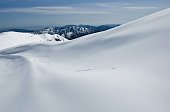 Salita da Pezzoro al Monte Guglielmo ancora ben innevato il 7 marzo 2009 - FOTOGALLERY